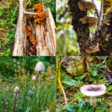 产后3个月高原徒步普达措～80块🎫不亏