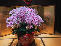 -ZEN采蝶轩·粤味臻鲜·手作点心·商务宴请(泰州店)