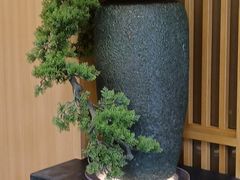-世纪缘湖滨花园酒店·湖景轩中餐厅(太阳宫店)