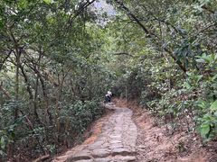 -狮子山郊野公园