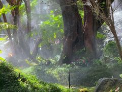 -Chom Cafe and Restaurant