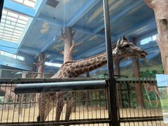 -鄂尔多斯野生动物园