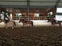 室内马馆-月河湾马术俱乐部(朝阳店)
