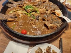 -老板恋上鱼(恒隆广场店)