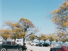 -仰口沙滩