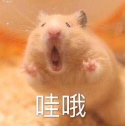 -热发型