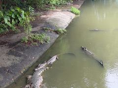 -广州长隆飞鸟乐园