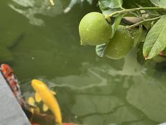 -漫笙舍Manse·咖啡·民宿