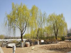 -河北省园博园