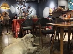 -咖法森林·咖啡  酒吧(天河店)