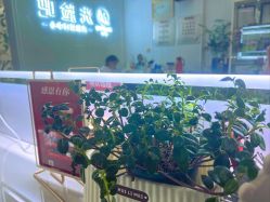 -NADUO娜朵洗脸吧