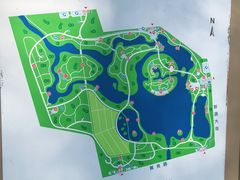 -大兴滨河森林公园