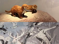 -中国湿地博物馆