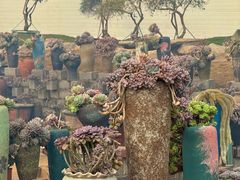 -沂蒙云瀑洞天景区