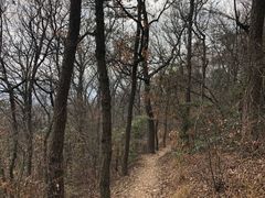 -紫金山山顶公园