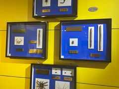 -上海昆虫博物馆