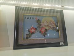 -贝壳梦幻世界