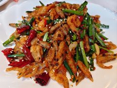 -叒缘夜光杯(望江橡树林店)