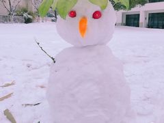 -苏州环秀晓筑养生度假村