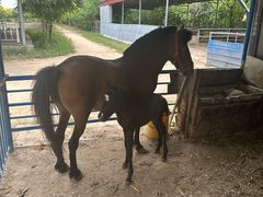 -兴芮温泉度假区