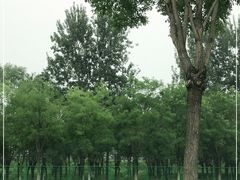 -东郊湿地公园