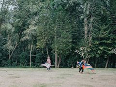 -南宁良凤江国家森林公园