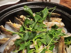 -陈鹏鹏潮汕菜(欢乐海岸 海边景观店)