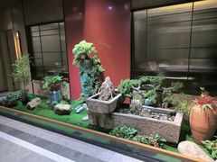 -崂山印象·青岛·海鲜渔家菜