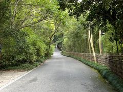 -灵顺寺