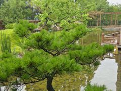 -筱爷叔·上海传统手工菜(新桥店)