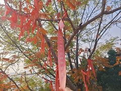 -南翠屏公园