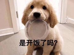 -东方饺子王(新奥购物中心店)