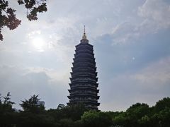 -红梅公园