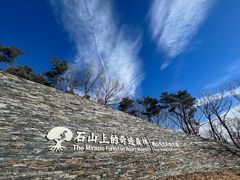 -北京西山国家森林公园