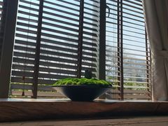 -九里云松·天香餐厅