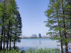 -长广溪湿地公园