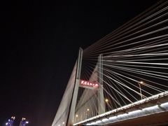 -武汉知音号