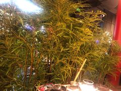 -哥老官重庆美蛙鱼头(宝山龙湖店)