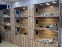 -猫十亿·布偶金渐层·曼基康矮脚猫舍(青年路店)