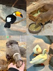 -Zoolung Zoolung动物主题公园(海信广场店)