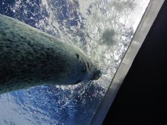 -上海海洋水族馆