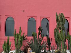 -漳州滨海火山岛自然生态风景区