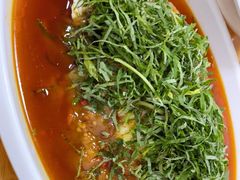 -老字号怡玺·藿香雅鱼(20年雅安店)