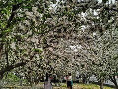 -元大都城垣遗址公园