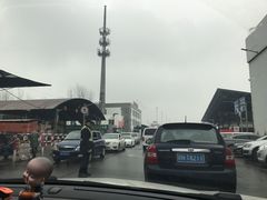 -江杨农产品批发市场