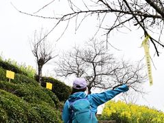 -石潭村