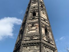 -上海佘山国家森林公园天马山园