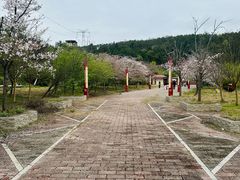 -绵阳盛世樱花悠乐谷