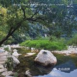周末深山老林避暑地