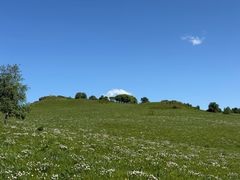 -御道口草原森林风景区